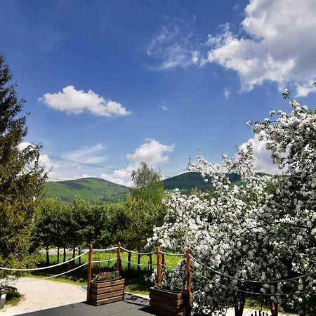 Agroturystyka Pod Sniezna Bystrzyca Klodzka Bagian luar foto