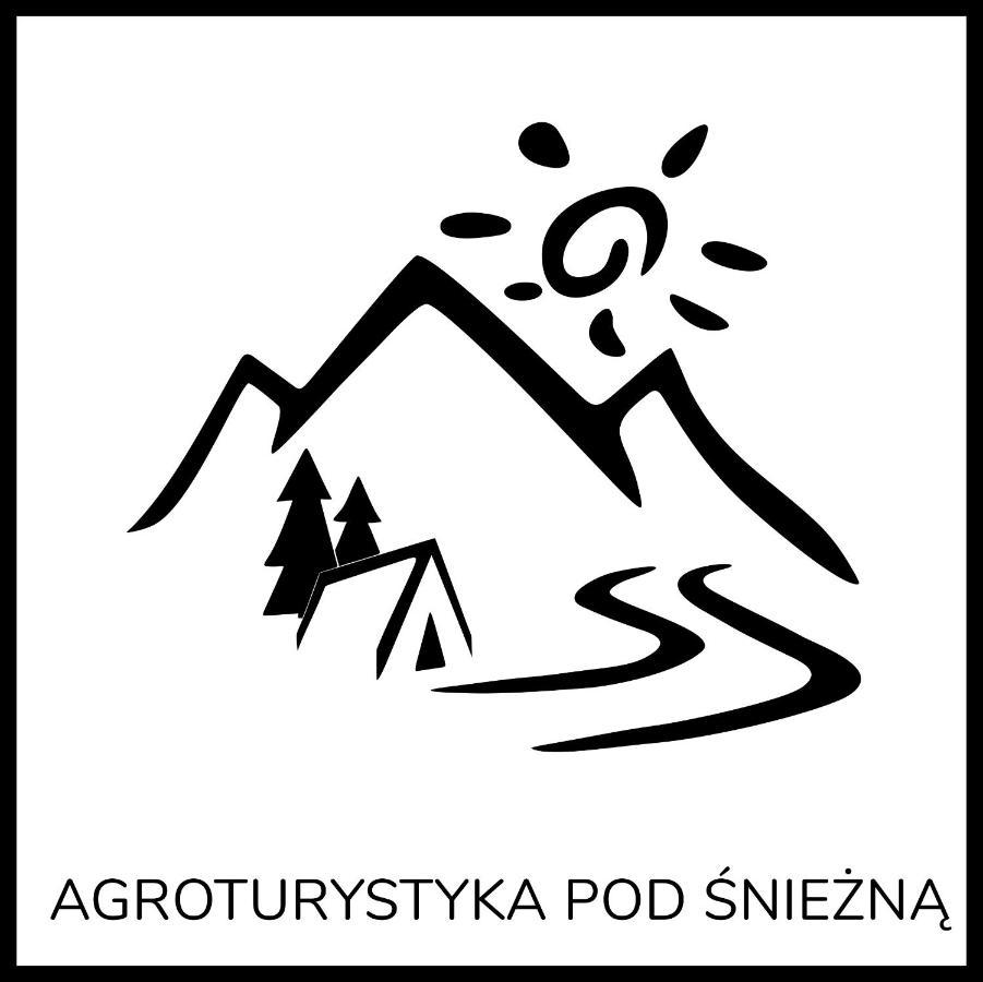 Agroturystyka Pod Sniezna Bystrzyca Klodzka Bagian luar foto