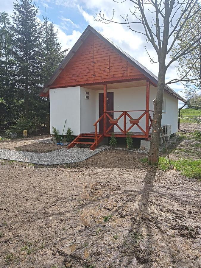 Agroturystyka Pod Sniezna Bystrzyca Klodzka Bagian luar foto