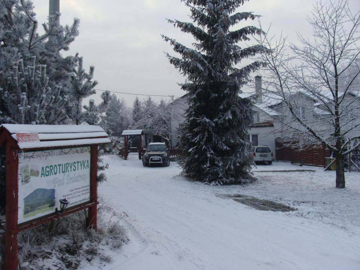 Agroturystyka Pod Sniezna Bystrzyca Klodzka Bagian luar foto