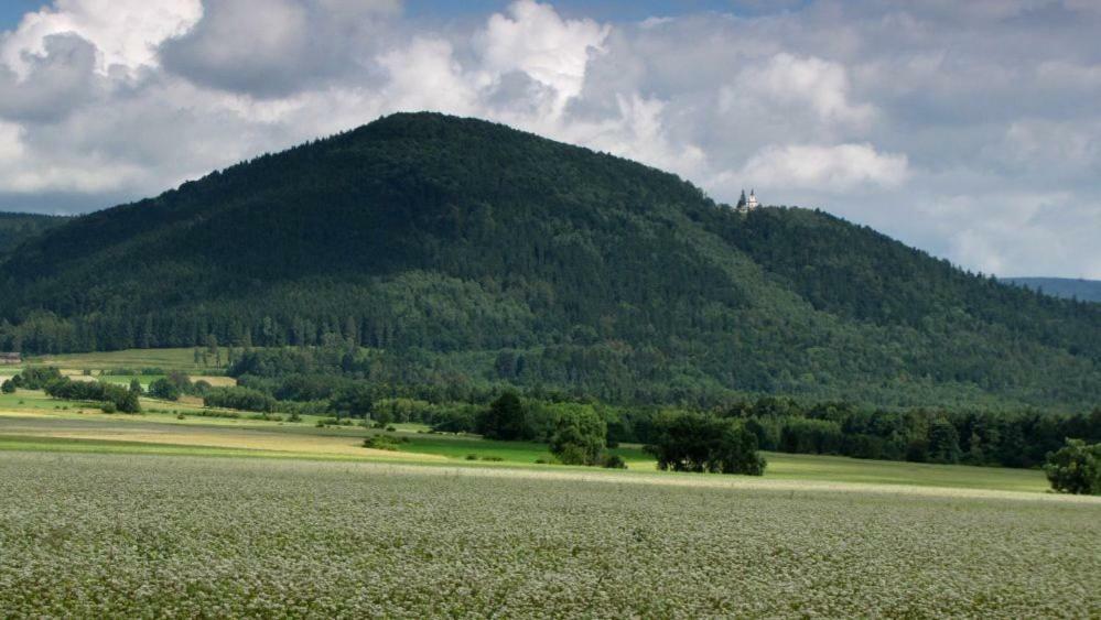 Agroturystyka Pod Sniezna Bystrzyca Klodzka Bagian luar foto